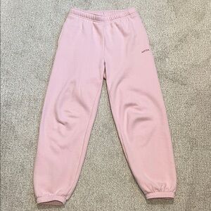 Aritzia Sweatfleece Jogger